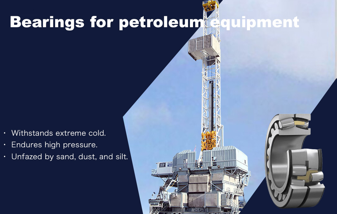 Bearings for petroleum equipment
