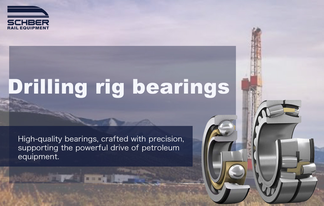 Bearings for Petroleum Equipment
