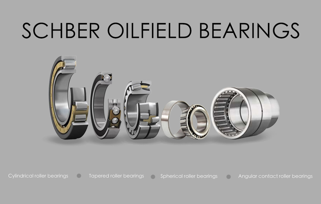 Petroleum pump bearings