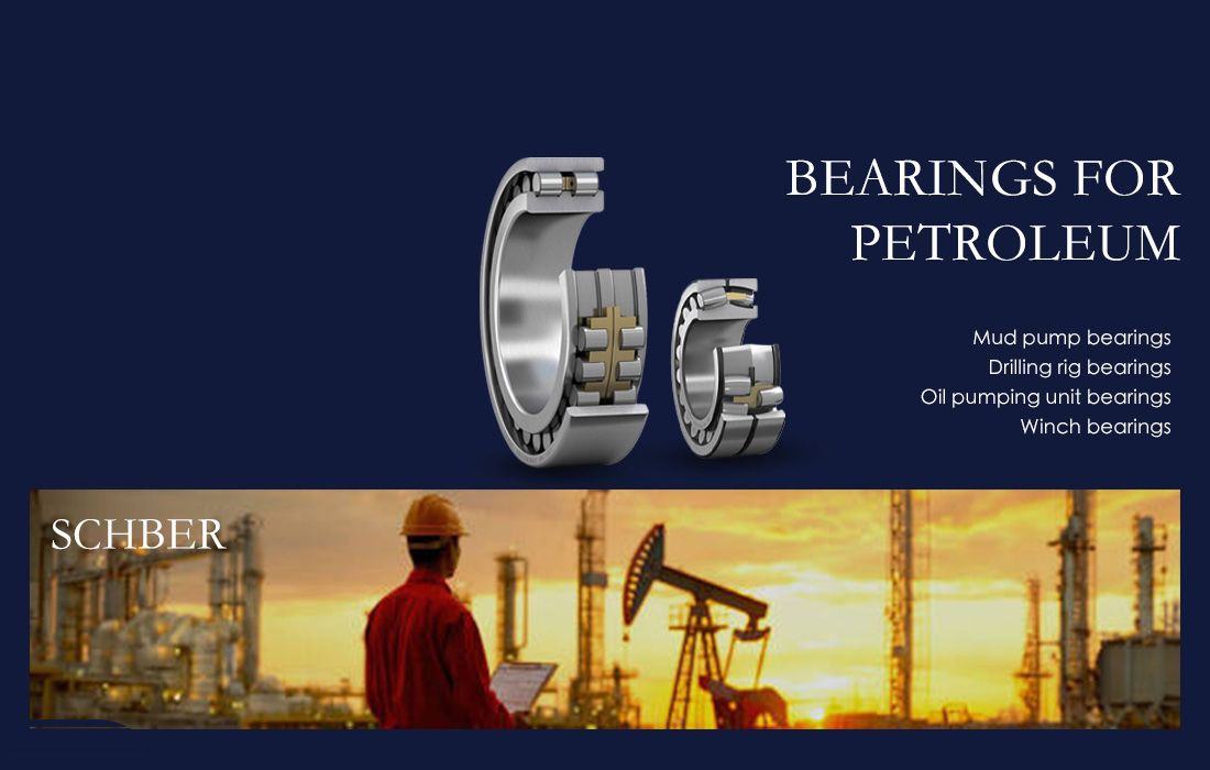 Petroleum Equipment Bearings